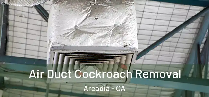  Air Duct Cockroach Removal Arcadia - CA