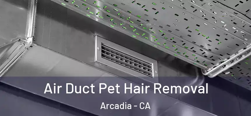  Air Duct Pet Hair Removal Arcadia - CA