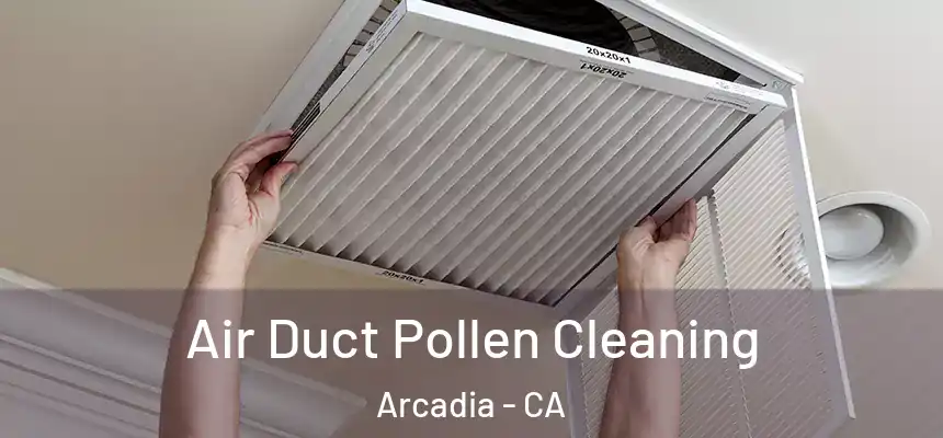  Air Duct Pollen Cleaning Arcadia - CA