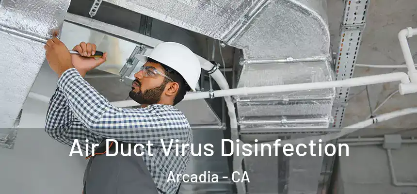  Air Duct Virus Disinfection Arcadia - CA