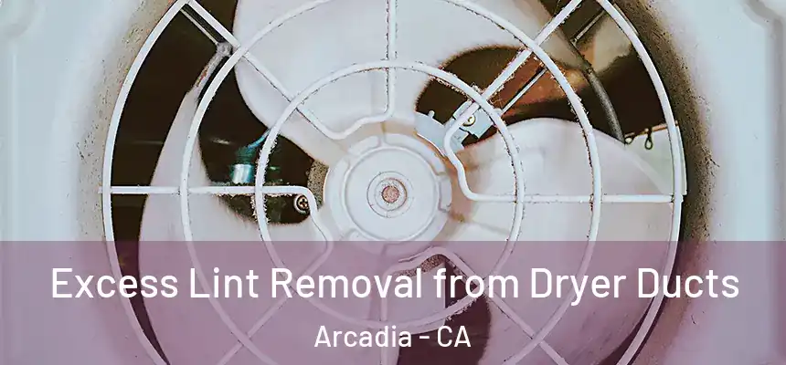  Excess Lint Removal from Dryer Ducts Arcadia - CA