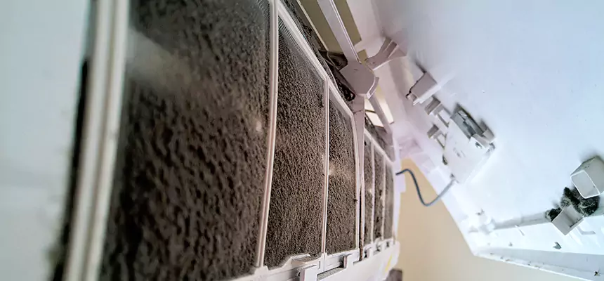 Preventive Air Duct Bacteria Removal in Arcadia