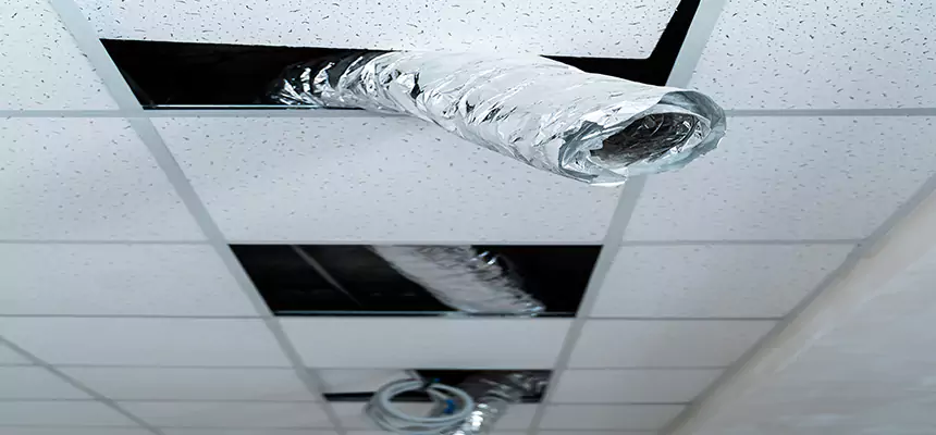 Affordable HVAC Sanitizing After Pest Removal in Arcadia