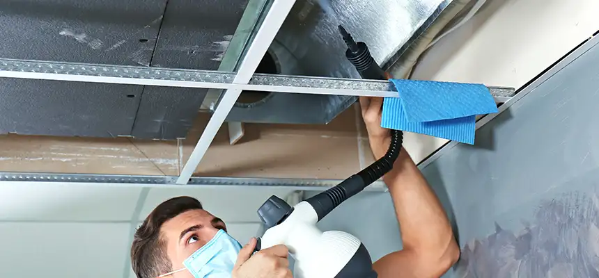 Our Air Duct Rodent Removal Services in Arcadia, CA
