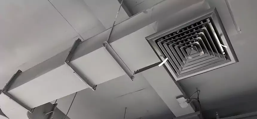 Restorative Allergy Relief Vent Cleaning – Coil, Blower & Housing Detail in Arcadia