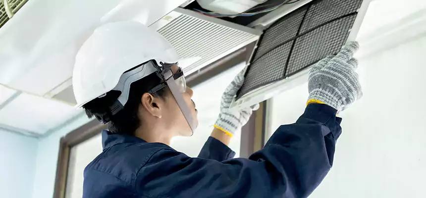 Our Mold & Mildew Removal from Air Ducts Services in Arcadia, CA