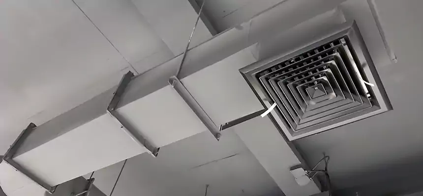 Our Pest Removal From Ducts Services in Arcadia, CA