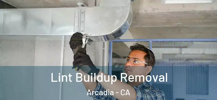  Lint Buildup Removal Arcadia - CA