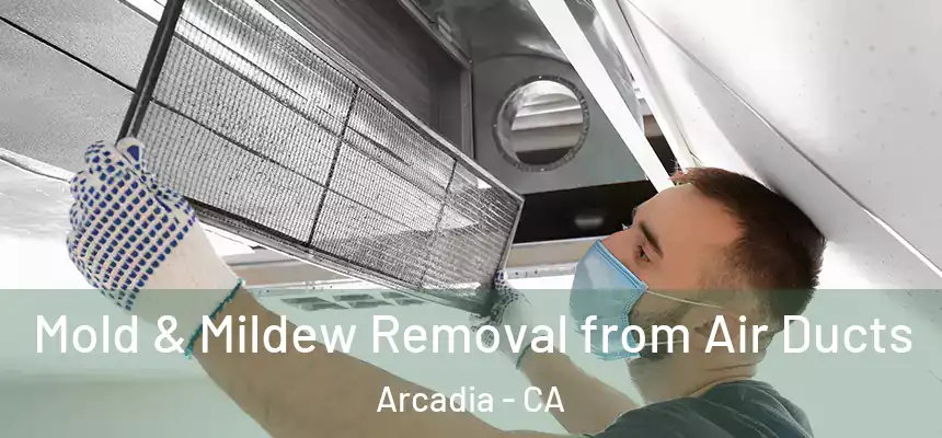  Mold & Mildew Removal from Air Ducts Arcadia - CA