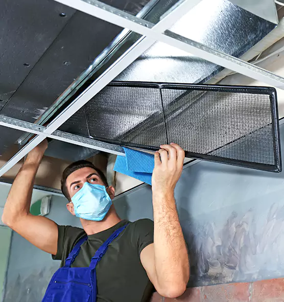 About Air Duct Bacteria Removal in Arcadia