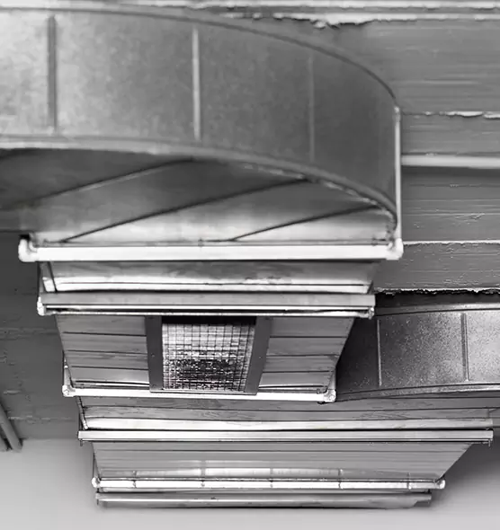 Professional Air Duct Pest Removal in Arcadia, CA