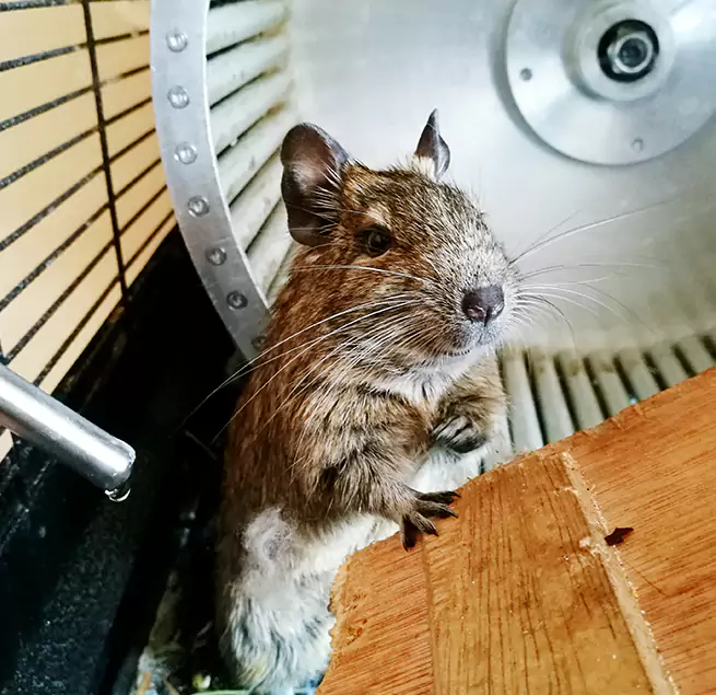 Why Homeowners & Businesses Trust Us Arcadia, CA?